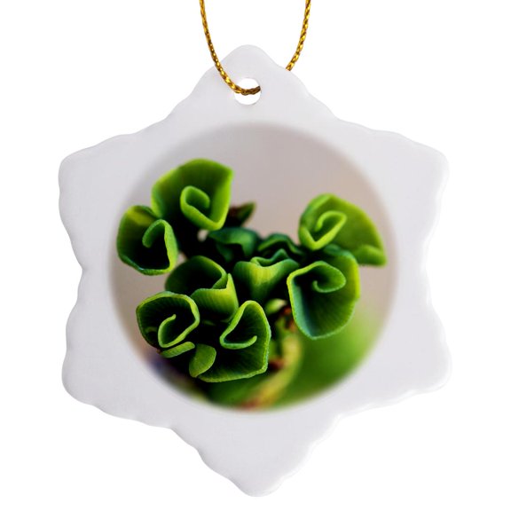 3drose, Macro Photo of the Leaves from a Ginkgo Biloba Jade Butterflies Tree., 3 inch Snowflake Porcelain Ornament