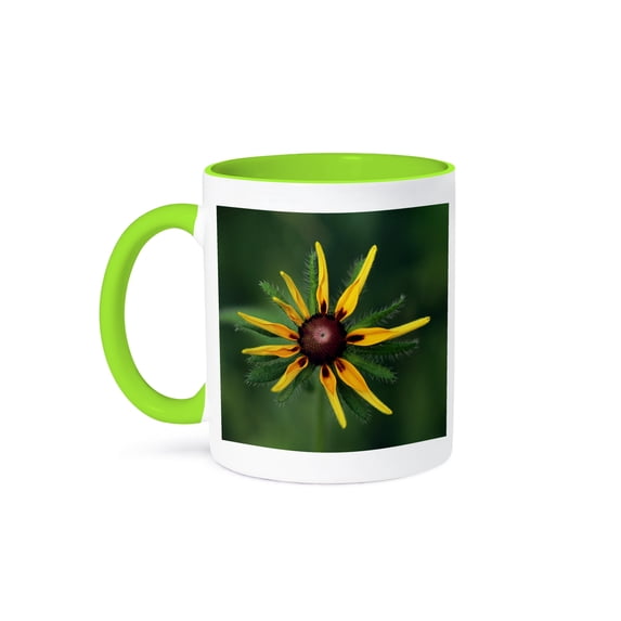 3drose, Macro Photograph of a Black Eyed Susan About to Open., 11oz Two-tone Green Mug