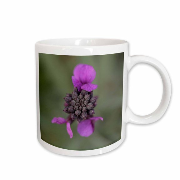 3drose, Macro Photograph of a Bowles Mauve Wallflower Blooming in the Winter., 15oz Mug