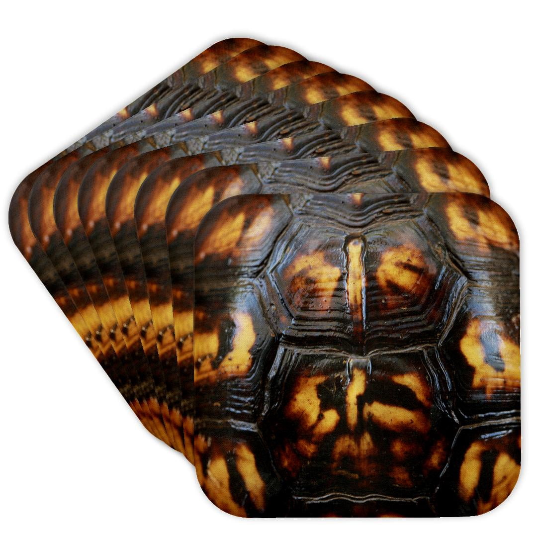 Turtle Shell Plate 3drose, Macro Photograph of a Box Turtle Shell., Set of 8 Coasters ...