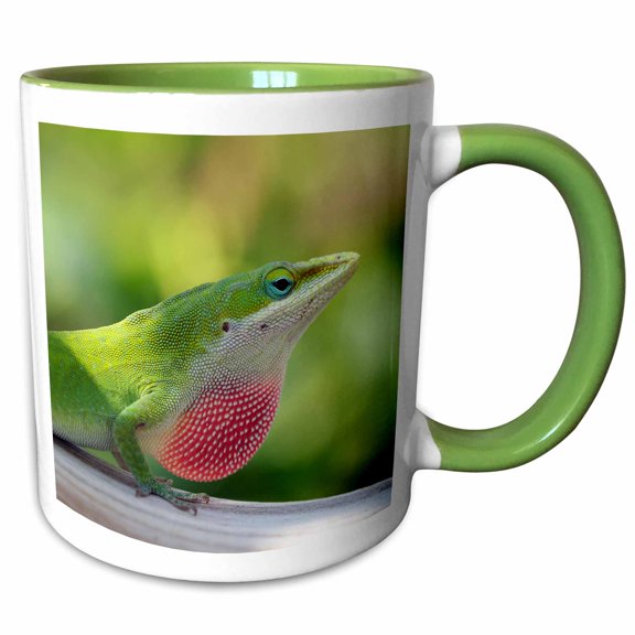 3drose, Macro Photograph of a Green Anole Lizard Displaying His Dewlap., 15oz Two-tone Green Mug