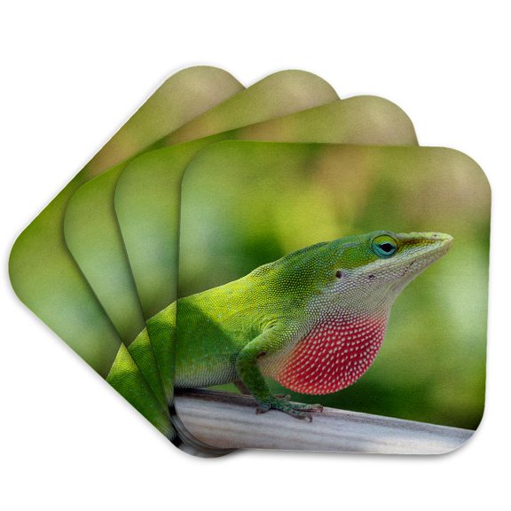 3drose, Macro Photograph of a Green Anole Lizard Displaying His Dewlap., Set of 4 Coasters - Soft