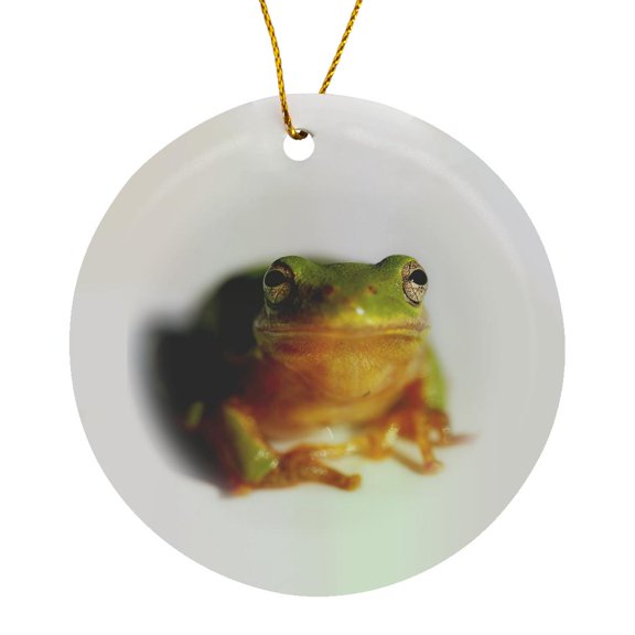 3drose, Macro Photograph of a Green Copes Gray Tree Frog., Circle Porcelain Ornament