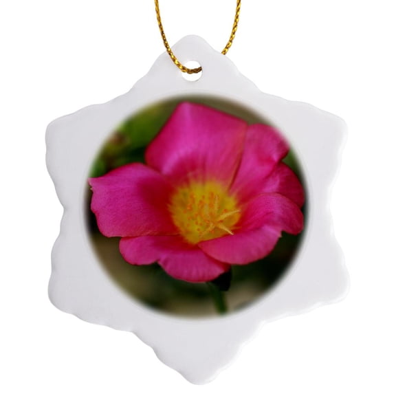 3drose, Macro Photograph of a Hot Pink Purslane Flower in Bloom., 3 inch Snowflake Porcelain Ornament