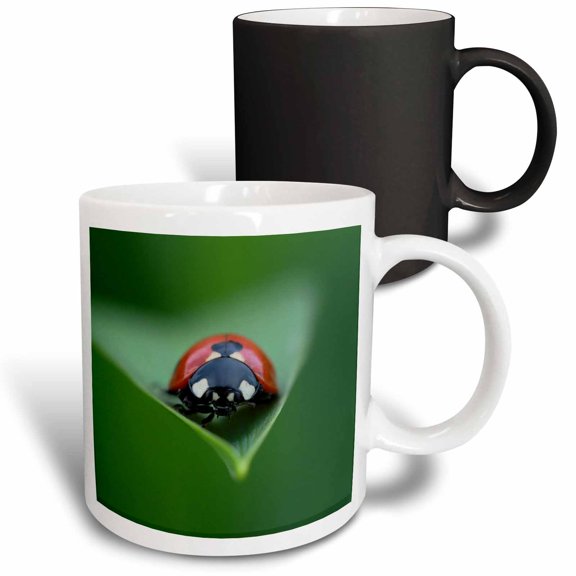 3drose, Macro Photograph of a Ladybug on the Tip of a Daylily Leaf., 11oz Magic Transforming Mug
