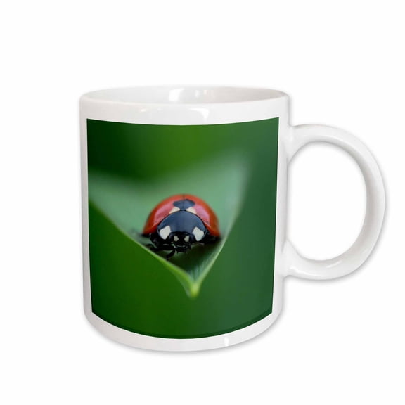 3drose, Macro Photograph of a Ladybug on the Tip of a Daylily Leaf., 11oz Mug