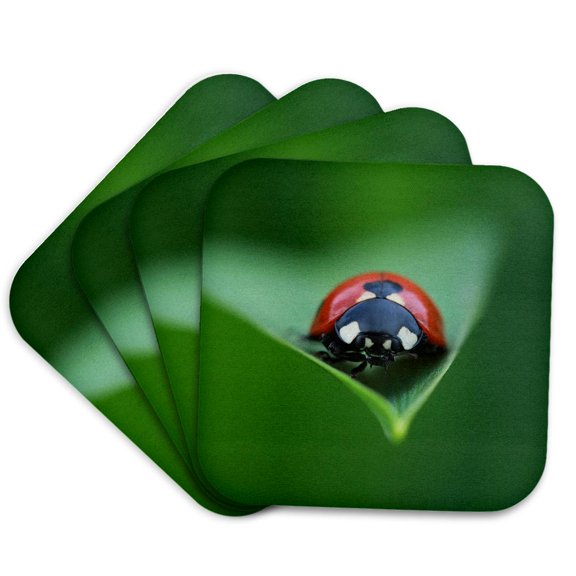 3drose, Macro Photograph of a Ladybug on the Tip of a Daylily Leaf., Set of 4 Coasters - Soft