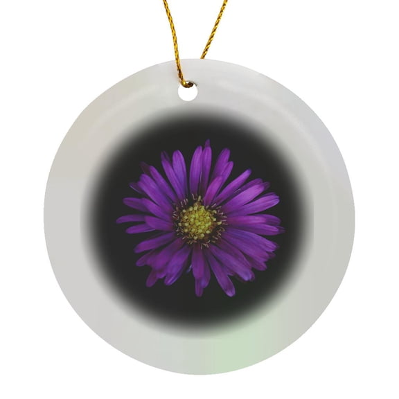 3drose, Macro Photograph of a Purple Aster on Black Background., Circle Porcelain Ornament