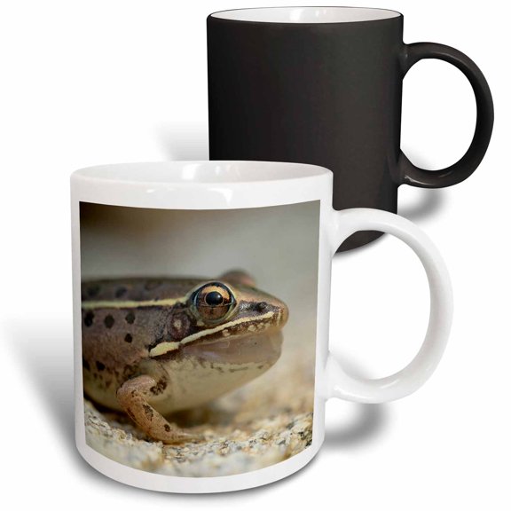 3drose, Macro Photograph of a Southern Leopard Frog After Catching a Bug., 11oz Magic Transforming Mug