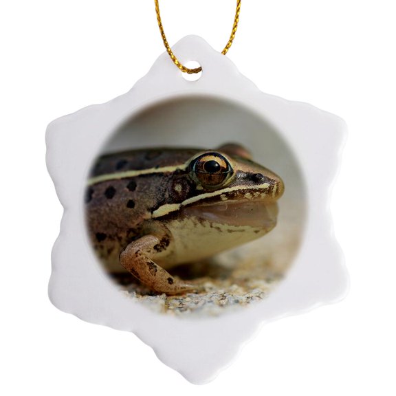 3drose, Macro Photograph of a Southern Leopard Frog After Catching a Bug., 3 inch Snowflake Porcelain Ornament