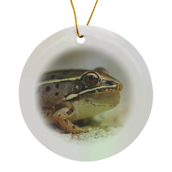 3drose, Macro Photograph of a Southern Leopard Frog After Catching a Bug., Circle Porcelain Ornament