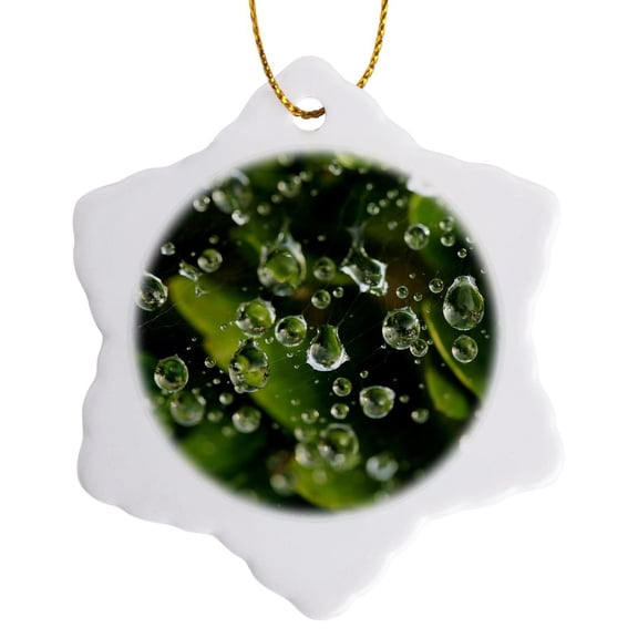 3drose, Macro Photograph of Raindrops on a Spiderweb over Green Leaves., 3 inch Snowflake Porcelain Ornament