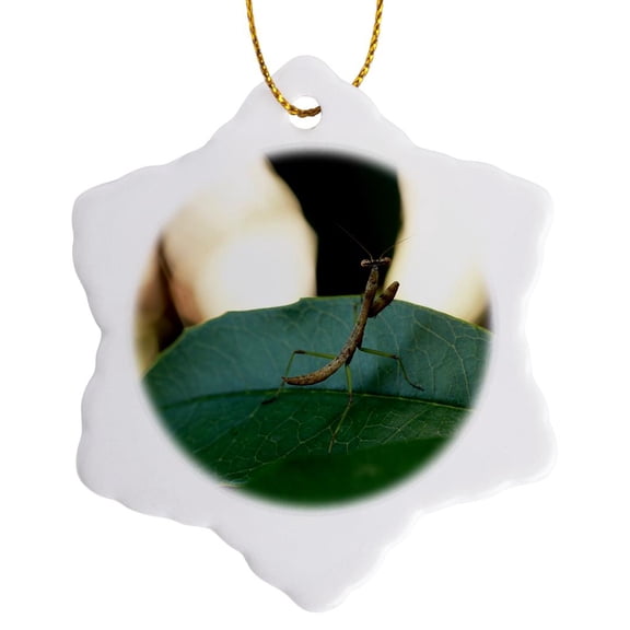 3drose, Macro Photograph of the Back of a Baby Praying Mantis on a Leaf., 3 inch Snowflake Porcelain Ornament
