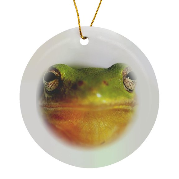 3drose, Macro Photograph of the Face of a Green Copes Gray Tree Frog., Circle Porcelain Ornament