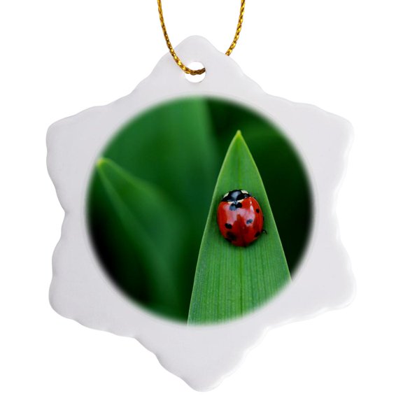 3drose, Macro Photograph of the Top View of a Ladybug on a Daylily Leaf., 3 inch Snowflake Porcelain Ornament