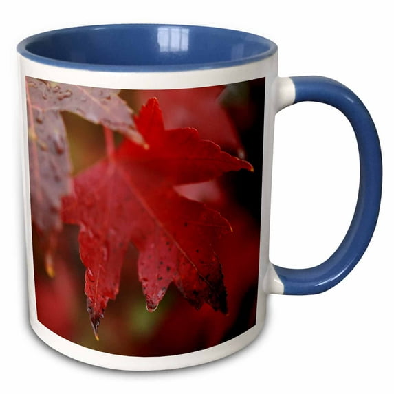 3drose, Macro Photograph of Vibrant Red Maple Leaves Wet from Recent Rain., 11oz Two-tone Blue Mug
