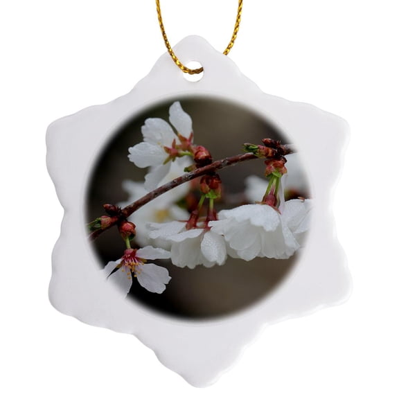 3drose, Macro Photograph of White Weeping Cherry Blossoms., 3 inch Snowflake Porcelain Ornament