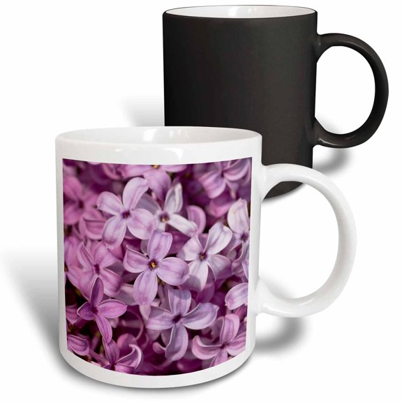 3drose, Macro View of a Dark Pink Lilac Flowers. Delicate Beauty of Spring, 11oz Magic Transforming Mug