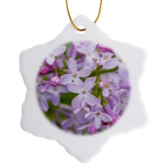 3drose, Macro View of a Purple Lilac Flowers. Freshness and Beauty of Spring, 3 inch Snowflake Porcelain Ornament