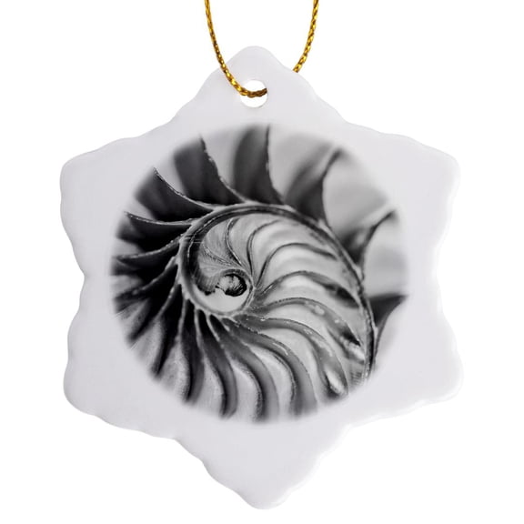 3drose, Macro View of the Interior of a Nautilus Shell., 3 inch Snowflake Porcelain Ornament
