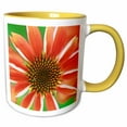 thumbnail image 1 of Macro photograph of an orange coneflower with green background. 15oz Two-Tone Yellow Mug mug-336762-13, 1 of 3