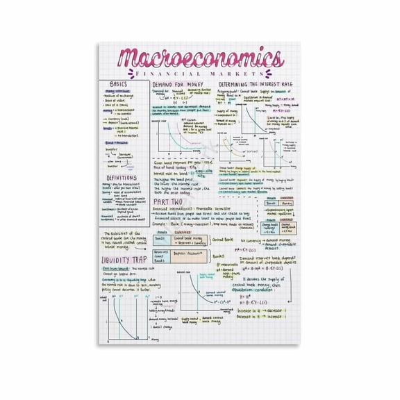 Macroeconomics Financial Markets Cheat Sheet Poster Canvas Painting Wall Art