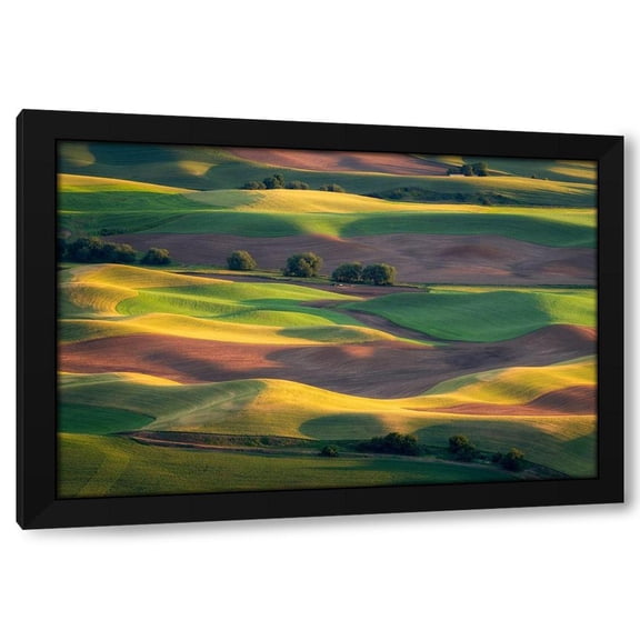 Gerald Macua 14x11 Black Modern Wood Framed Wall Art Titled - Colorful Palouse