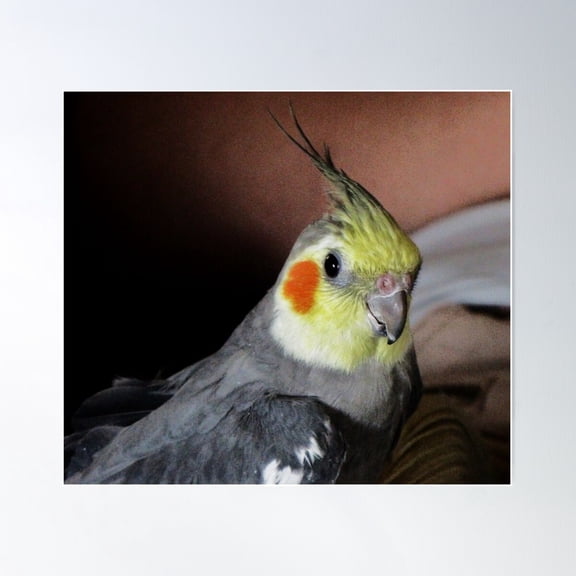 Mad Max Poster Wall Art, Modern Wall Decor For Living Room Bedroom, 8x12 UNFRAMED