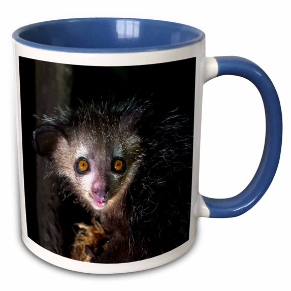 3drose, Madagascar, Akaninny Nosy Reserve. Aye Aye, Nocturnal Lemur, Eats., 15oz Two-tone Blue Mug