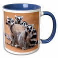 thumbnail image 1 of 3drose, Madagascar, Amboasary, Berenty Reserve. a Group of Ring-tailed Lemurs, 11oz Two-tone Blue Mug, 1 of 6