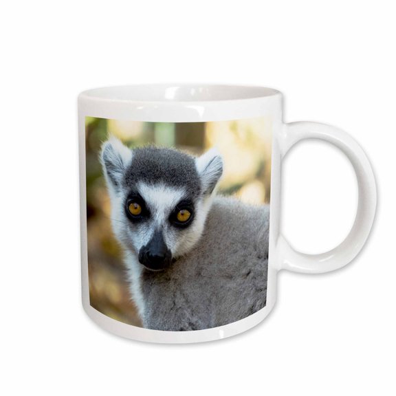 3drose, Madagascar, Amboasary, Berenty Reserve. Ring-tailed Lemur., 11oz Mug