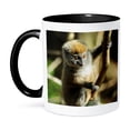 thumbnail image 1 of 3dRose, Madagascar, Andasibe, Ile Aux Lemuriens, Baby Golden Bamboo Lemur, 11oz Two-Tone Black Mug, 1 of 7