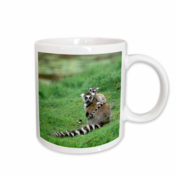 3drose, Madagascar, Antananarivo, Ring-tailed Lemur, Primate-af24 Pox0085 - Pete Oxford, 11oz Mug