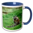 thumbnail image 1 of 3drose, Madagascar, Antananarivo, Ring-tailed Lemur, Primate-af24 Pox0085 - Pete Oxford, 11oz Two-tone Blue Mug, 1 of 6