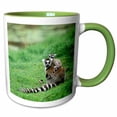 thumbnail image 1 of 3drose, Madagascar, Antananarivo, Ring-tailed Lemur, Primate-af24 Pox0085 - Pete Oxford, 11oz Two-tone Green Mug, 1 of 6