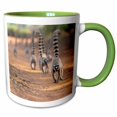 thumbnail image 1 of 3drose, Madagascar, Berenty Reserve.ring-tailed Lemurs March Down the Road., 15oz Two-tone Green Mug, 1 of 6