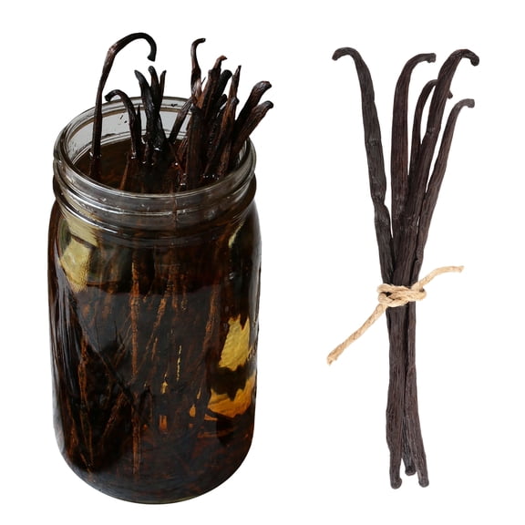 Madagascar Bourbon (1x) Vanilla Bean for Home Beer Brewing Stouts & Porters Mead
