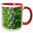 thumbnail image 1 of 3drose, Madagascar, Dry Spiny Forest, Cactus, Succulent-af24 Ksc0003 - Kevin Schafer, 15oz Two-tone Red Mug, 1 of 6