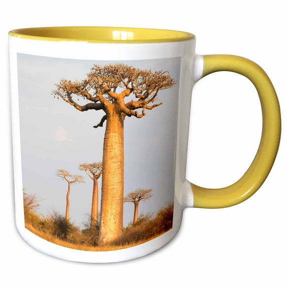 3drose, Madagascar, Morondava, Baobab Alley. Baobab Trees in Morning Light, 15oz Two-tone Yellow Mug