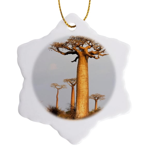3drose, Madagascar, Morondava, Baobab Alley. Baobab Trees in Morning Light, 3 inch Snowflake Porcelain Ornament