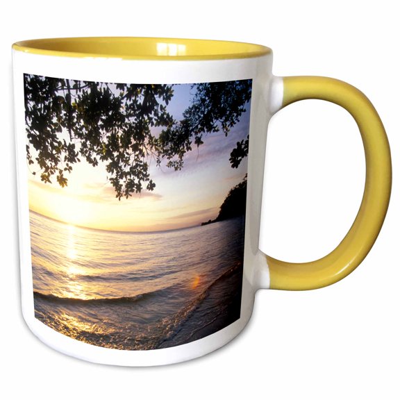 3drose, Madagascar, Nosy Mangabe Reserve, Aye-aye, Lemurs - Sa22 Ksc0025 - Kevin Schafer, 11oz Two-tone Yellow Mug