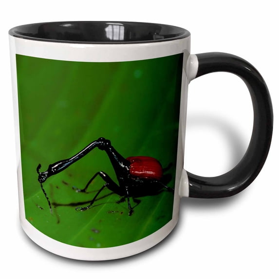 3drose, Madagascar, Perinet. Giraffe-necked Weevil Insect-af24 Pox0023 - Pete Oxford, 15oz Two-tone Black Mug