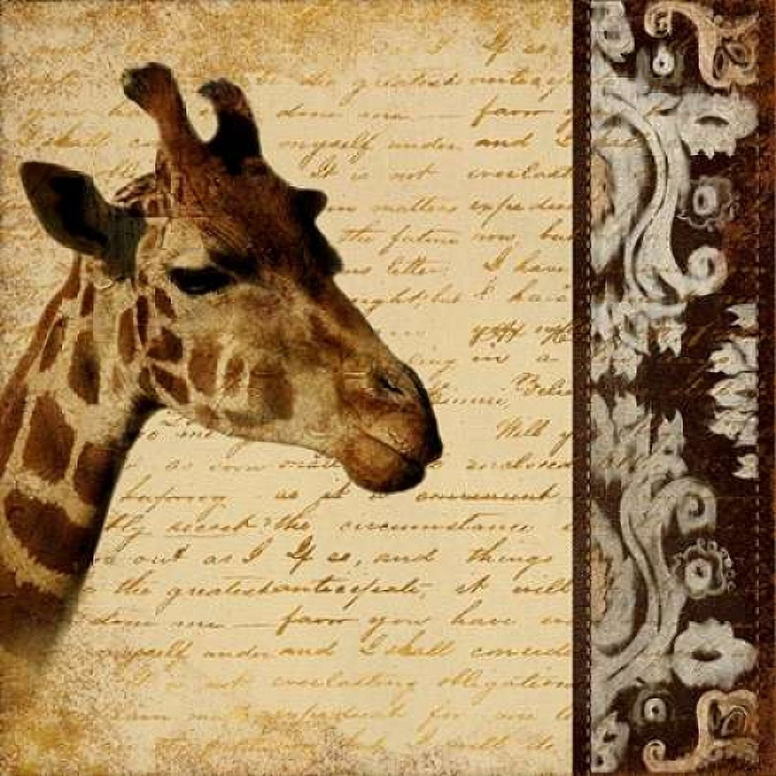 Madagascar Safari I Canvas Art - Patricia Pinto (24 x 24)