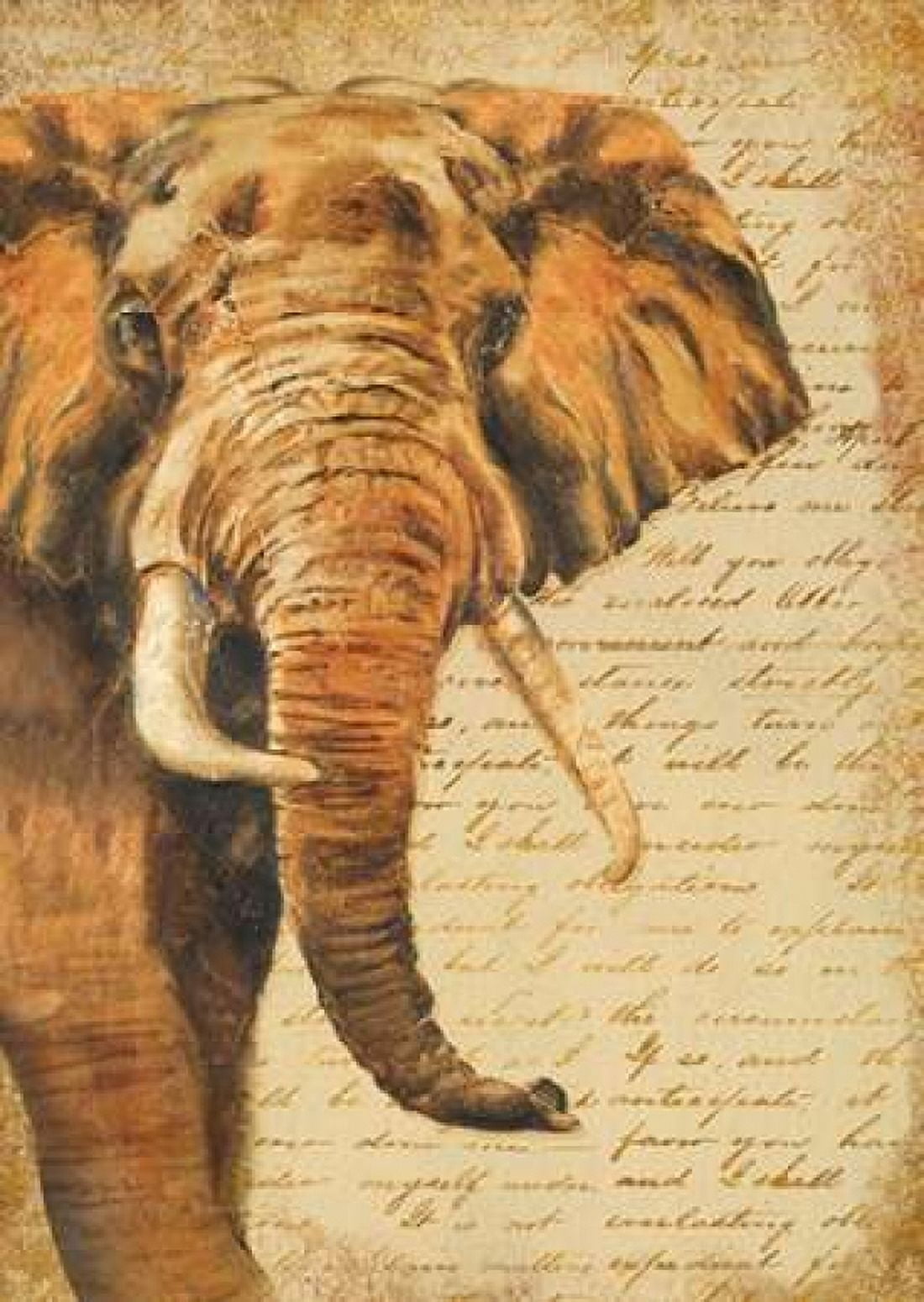 Madagascar Safari III Canvas Art - Patricia Pinto (20 x 28)