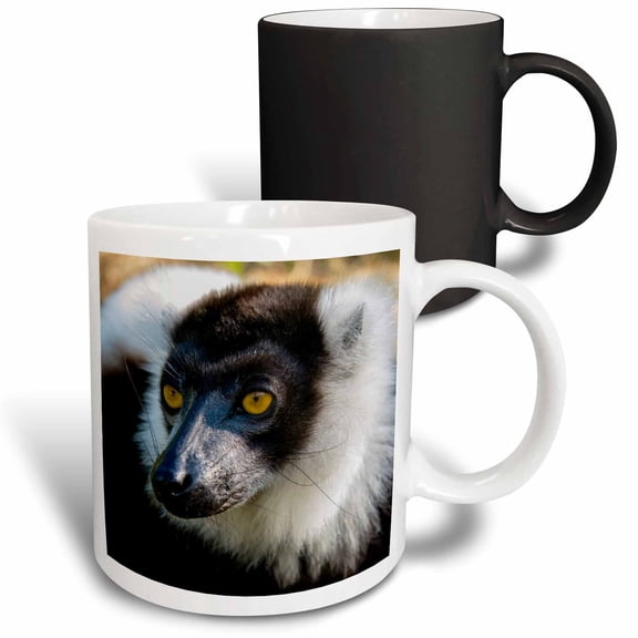 3drose, Madagascar,vakona Lodge, Lemur Island. Black and White Ruffed Lemur., 11oz Magic Transforming Mug