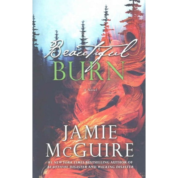 Maddox Brothers: Beautiful Burn (Paperback)