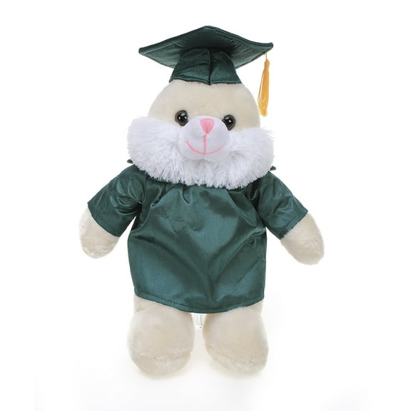 Made by Aliens Bunny Plush Stuffed Animal Toys Present Gifts for Graduation Day, Personalized Text, Name or Your School Logo on Gown, Best for Any Grad School Kids 12 Inches