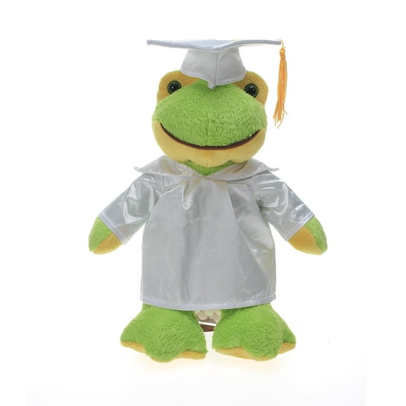 Made by Aliens Personalized Frog Stuffed Animal Plush Toy Perfect Gift for Graduation Name or Your School Logo on Gown, Best for Any Grad School Kids 12 Inches