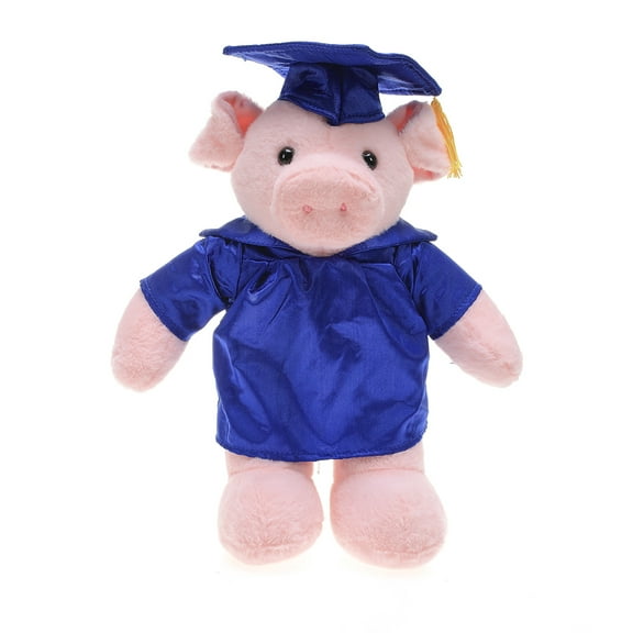 Made by Aliens Personalized Pig Stuffed Animal Plush Toy Perfect Gift for Graduation Name or Your School Logo on Gown, Best for Any Grad School Kids 12 Inches