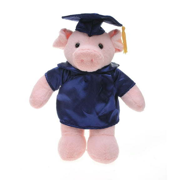 Made by Aliens Personalized Pig Stuffed Animal Plush Toy  Perfect Gift for Graduation Name or Your School Logo on Gown, Best for Any Grad School Kids 12 Inches
